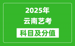 2025年云南藝考科目及分值設置_云南藝考滿分是多少