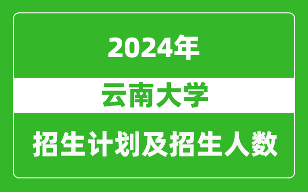 云南大學2024年在江蘇的招生計劃及招生人數