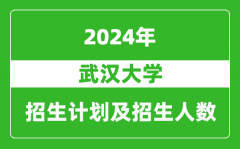 武漢大學2024年在江蘇的招生計劃及招生人數