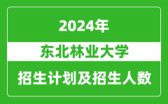 東北林業大學2024年在江蘇的招生計劃及招生人數